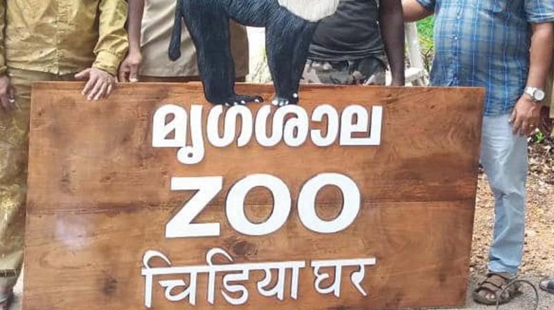 Thiruvananthapuram: Staff make signboards from fallen tree at Zoo