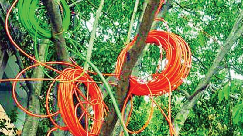 Ward officials must curb Optical Fibre Cable menace: BBMP