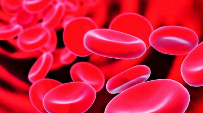 There are 25 lakh carriers of sickle cell disease and about 1,25,000 patients have sickle cell disease in India.