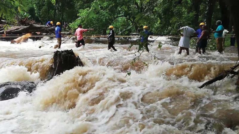 Kochi: Fire force battling record tree falls; railways worst-hit