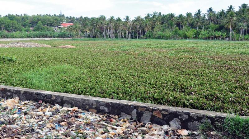 Rs 4.29 crore wasted in lake regeneration project