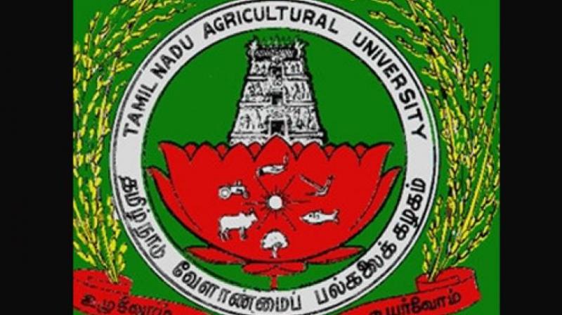 Tamil Nadu Agricultural University publishes admission list of UG top rankers
