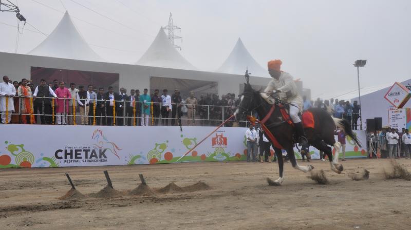 Chetak Festival, Sarangkheda is an age-old pastoral fair of horses that has been transformed into a month-long celebration.