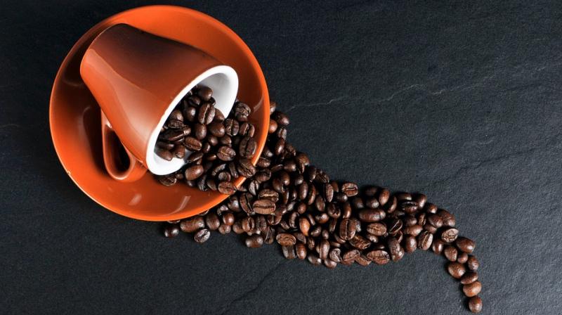 Coffee lovers more sensitive to its odour