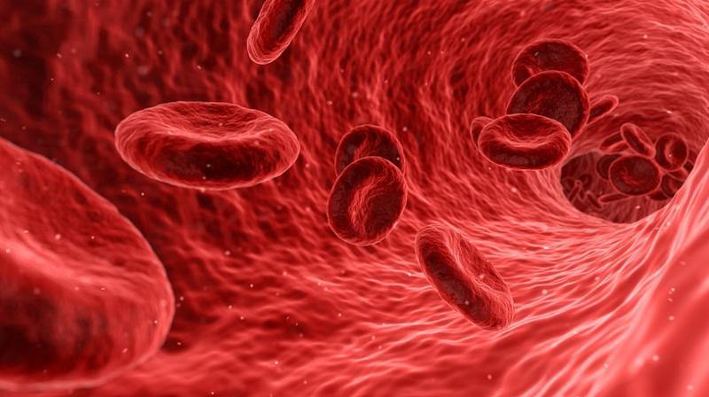 Anaemia offers greater natural protection against blood-stage malaria infection than sickle-cell trait. (Photo: Pixabay)
