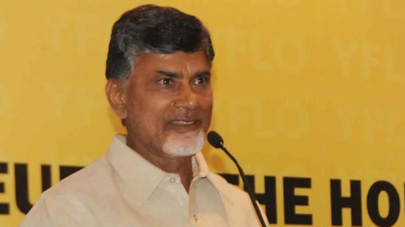 N. Chandrababu Naidu wants Nellore district to be ready and able to withstand natures fury.