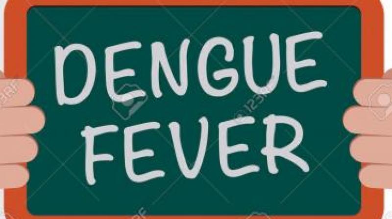 Every day, between five and 10 patients each from Nampally, Barkas, Malakpet, Golconda area hospitals are referred to private laboratories for testing to confirm dengue fever.  (Representational image)
