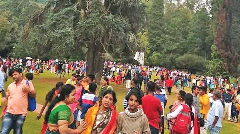 Record 1 million tourists visit Ooty in April-May