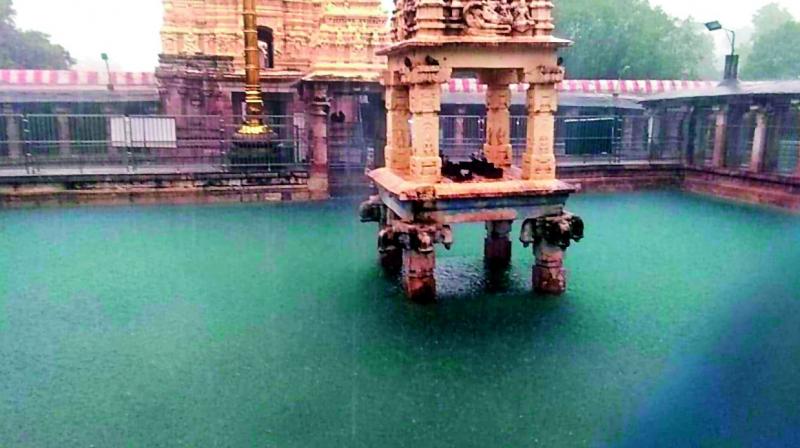 Due to heavy rains in the past two days, the Sri Mahanandeeswara Swami temple at Mahanandi of Kurnool was flooded (Photo: DC)