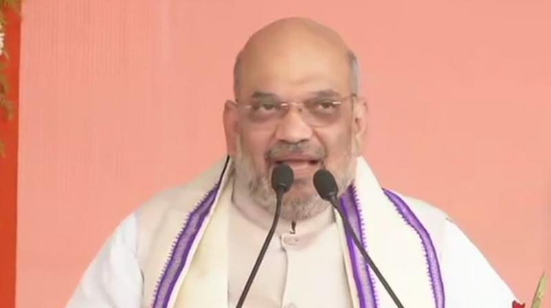 Congress has ruled the country and Odisha for several years since Independence, but there has been no development, BJP president Amit Shah said. (Image: ANI)