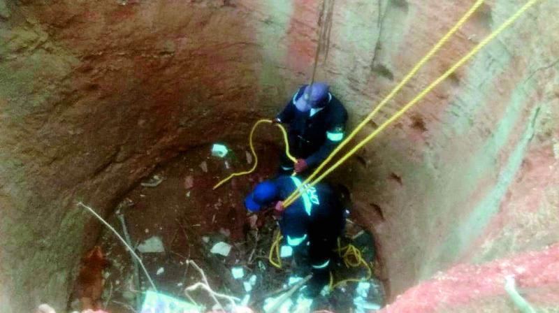 Hyderabad: Dog rescued from well after 2 days