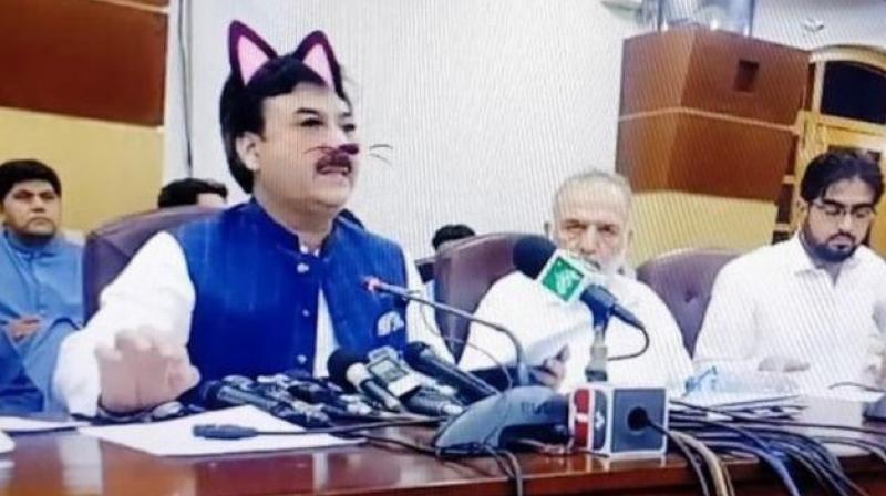 \Cat filter\ accidentally used in Pakistan ministers\ live broadcast goes viral