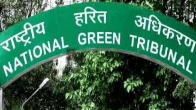 National Green Tribunal. (Photo: PTI)