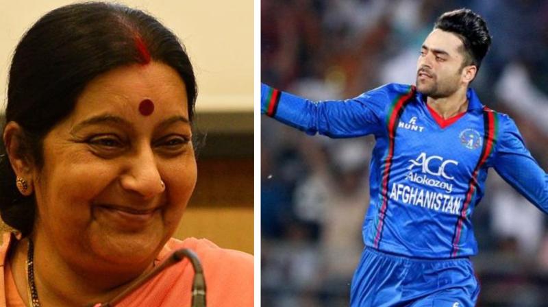 When Sushma Swaraj\s tweet about giving Indian citizenship to Rashid Khan went viral