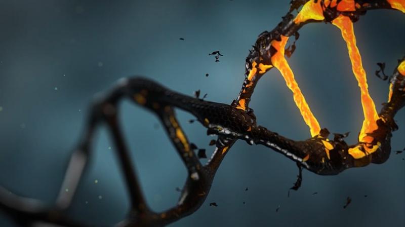 Researchers reveals cells are first responders to repair damaged DNA. (Photo: Pixabay)