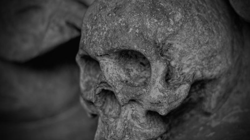 Scientists reconstruct skeleton of elusive, pre-historic human