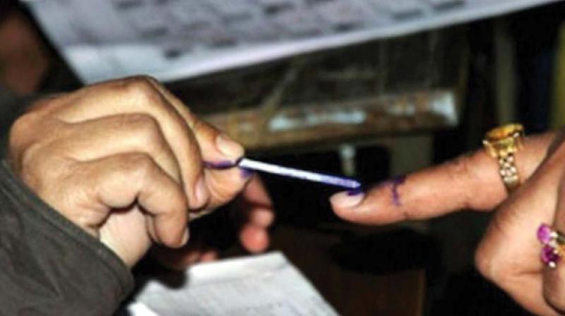 Vijayawada: 23 lakh to vote in panchayat polls