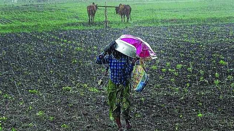 Pick-up in monsoon cheers agricultural stocks