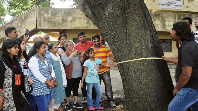 Bengaluru: Tree census from tomorrow