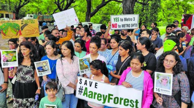 Aarey protests: SC to hear plea filed by law students over axing of trees