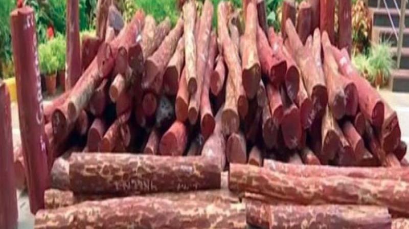 Priced over Rs 10,000 a kilo, Indian sandalwood is the most expensive on the planet because of its cosmetic and therapeutic value. (Representational image)