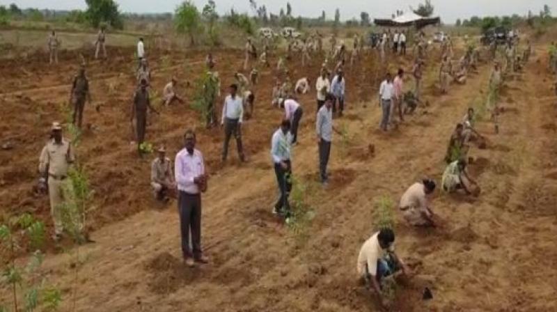 400 forest range officers plant saplings to protest against TRS attack
