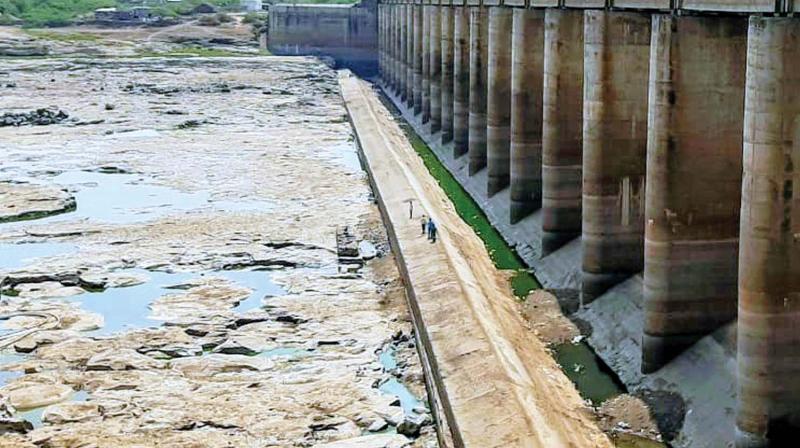 D K Shivakumar cries foul: Maharashtra government not giving water