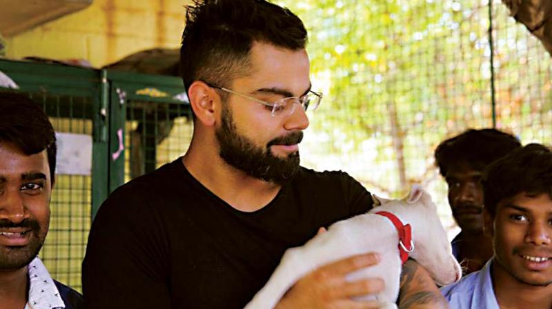 Cricketer Virat Kohli at the Charlies Animal Rescue Centre (CARE), in Jakkur.