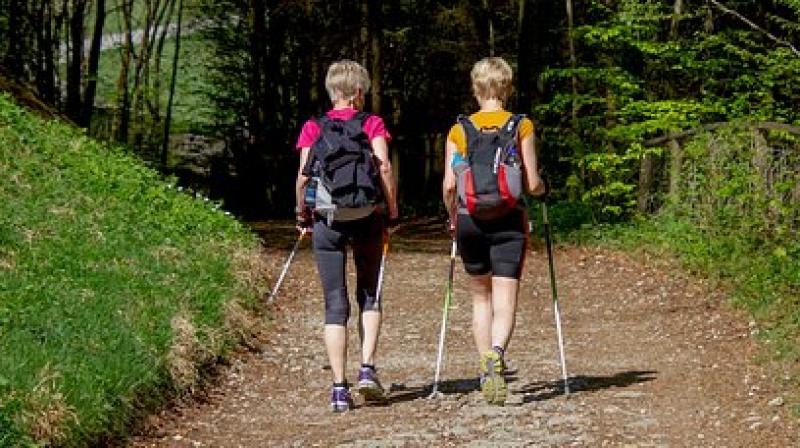 Nordic walking: Low impact exercise can benefit breast cancer patients