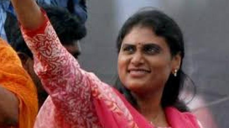 A vote for Pawan Kalyan is a vote for Telugu Desam: YS Sharmila