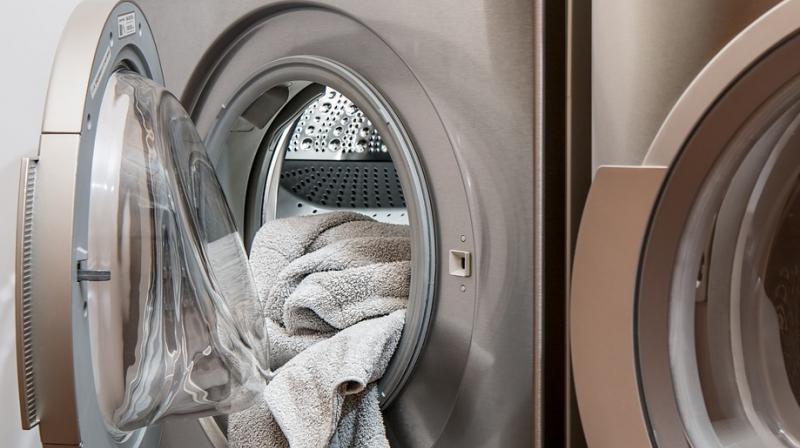 Woman allegedly drowns cat in washing machine. (Photo: Pixabay)
