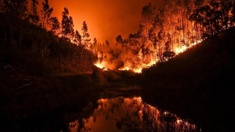 A raging forest fire in central Portugal killed at least 62 people as they desperately tried to flee, charring cars and trucks as it swept over roads.