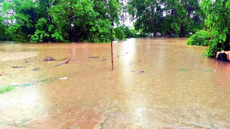 State readies for flood as rains swell Godavari river