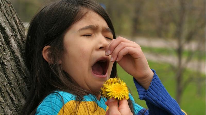 Pollen the major cause of seasonal allergy