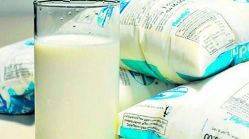 Salem: Milk producers under Aavin fold threaten boycott