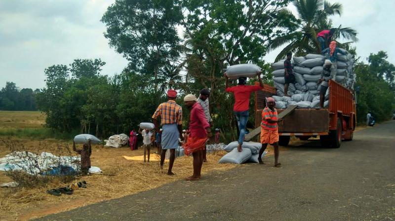 Alappuzha: Farmers await procurement money
