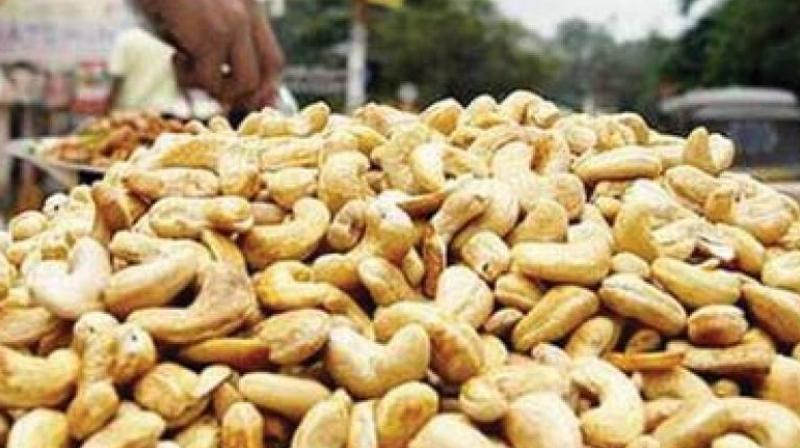 Kollam: Good times for cashew business