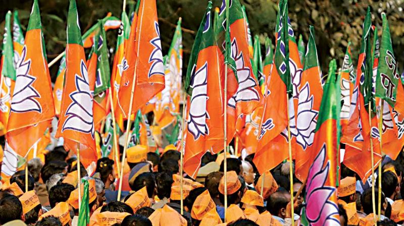 Bengaluru: Tina factor for youngsters â€“ if not Narendra Modi, who do we vote for?