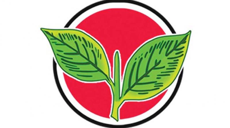 If the EC rules that Sasikalas nomination is invalid, the candidate certified by her cannot get the two leaves symbol and Dhinakaran, involved in a battle for political survival, will have to look for alternative symbols in the bypoll.