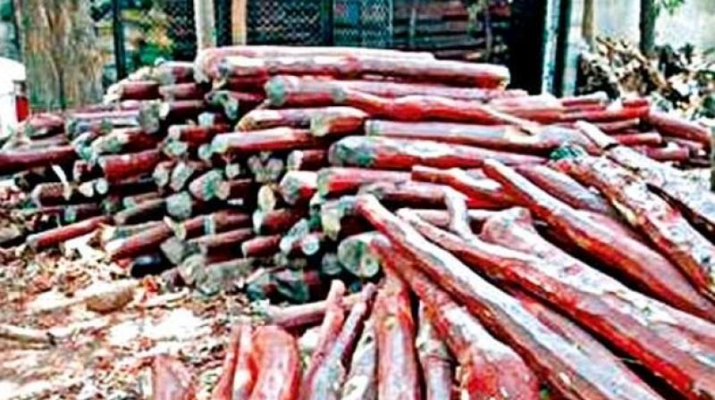 The animosity between former smugglers and woodcutters and those currently involved in smuggling of red sanders have all been coming in handy for police to plan and execute raids to apprehend smugglers before they could move the logs to the neighbouring states.