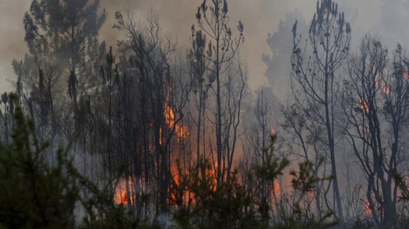 A view of a forest fire from reaching the village of Figueiro dos Vinhos central Portugal. (Photo: AP)