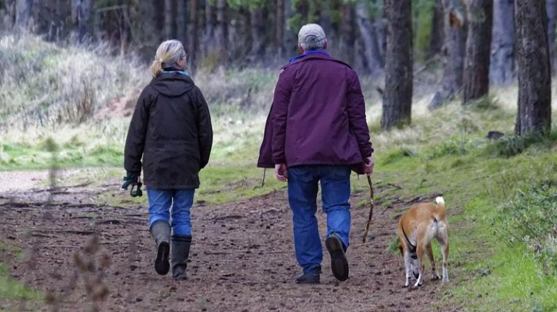Senior citizen were found to meet exercise goals just by walking their dogs. (Photo: Pixabay)