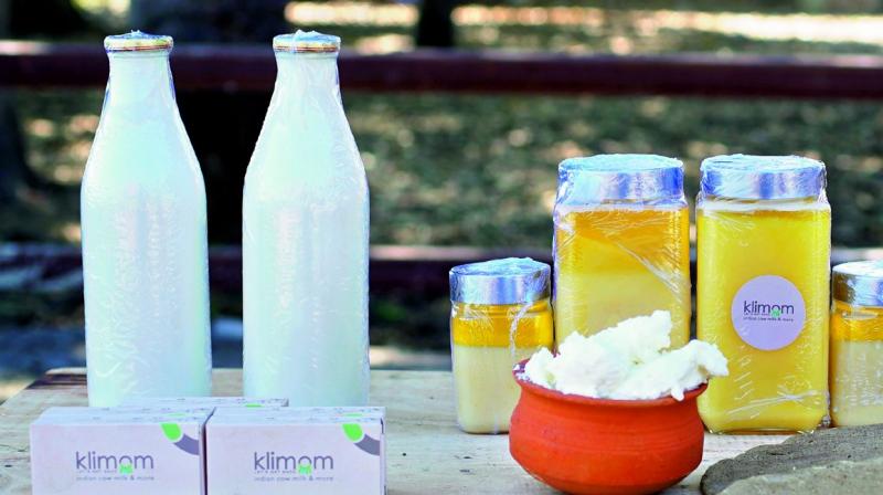 Allola Divya Reddys search for pure cow milk became the foundation of Klimom Wellness and Farms, with the intent of making the  benefits of pure A2 milk available to young mothers and their children across the country.