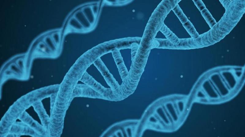 Hyderabad: Use of DNA profiling helped solve the case