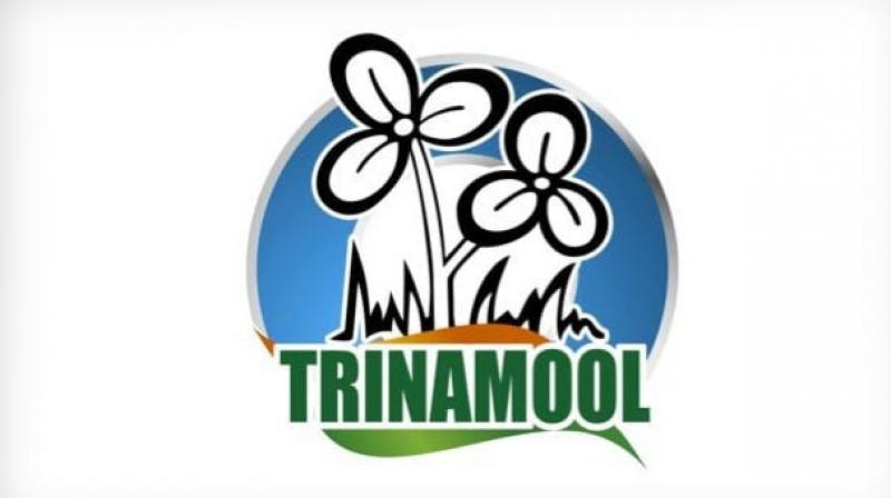The new logo has Trinamool written in green with twin flowers and blue background. It has been in use for a week now, party sources said. (Photo: Derek O Brien | twitter)