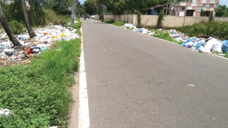 Waste dump threatens life in Cheranellore