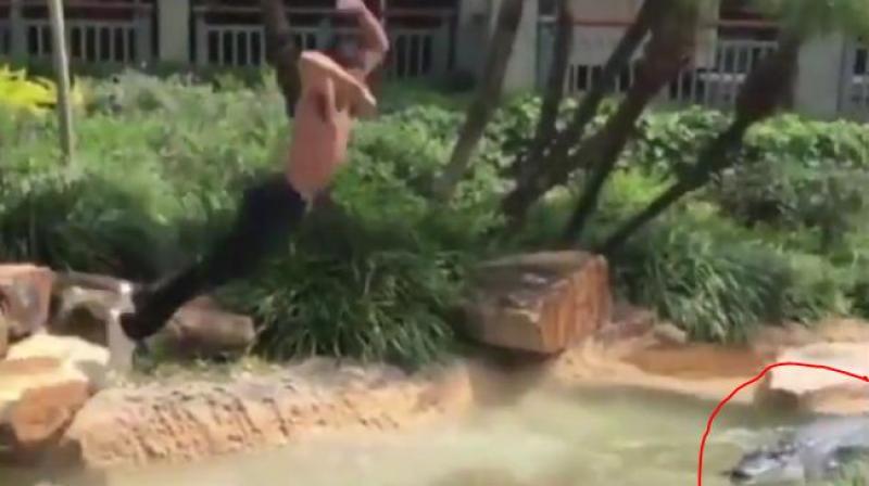 Watch: Teen who tried to RKO his principal arrested again for RKOing alligator