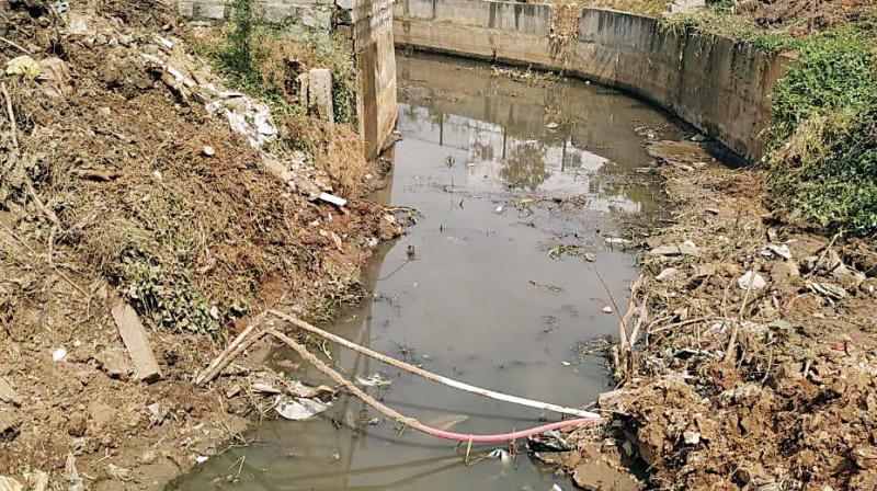 Konasandra Lake is gasping for life, no funds to fix it, says BBMP