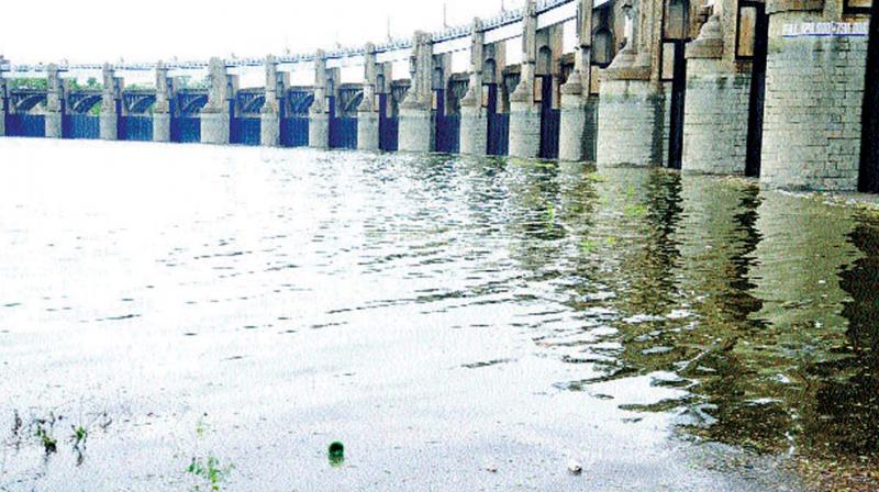 Mettur dam may be opened in August 2nd week, say Experts