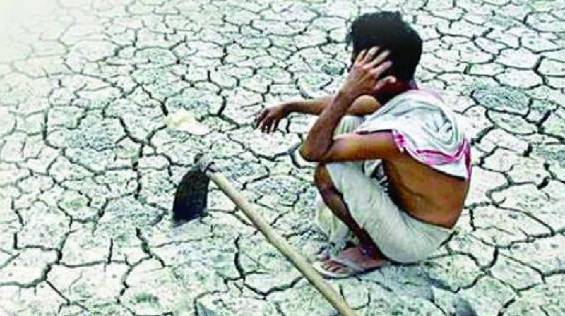 The drought like situation has also dried up 1,343 tanks in Melur, Madurai and Gudur divisions in the district. (Representational image)